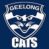geelong cats custom sneakers