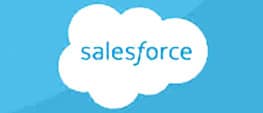 salesforce custom sneakers